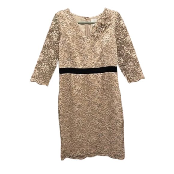 Banana Republic Champagne Metallic Lace Style Dress w Black Waistband Size 10 - Picture 6 of 10